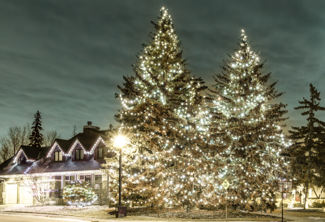 Edmonton embraces the winter with enthusiasm, providing a fun and energetic New Year's Eve atmosphere.