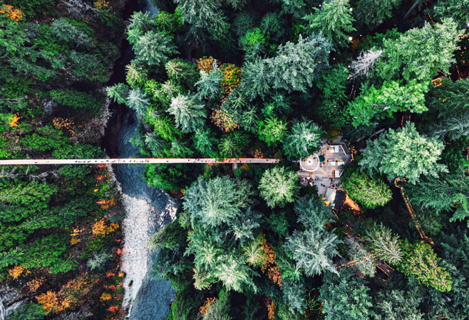 Capilano Suspension Bridge Park is one of those Vancouver attractions that truly lives up to the hype Capilano Suspension Bridge Park is one of those Vancouver attractions that truly lives up to the hype