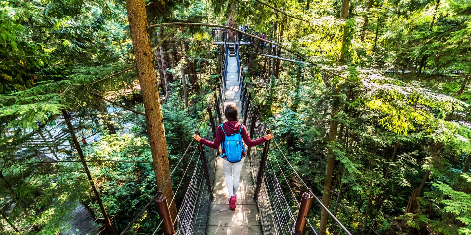 The ultimate Capilano Suspension Bridge Park travel guide