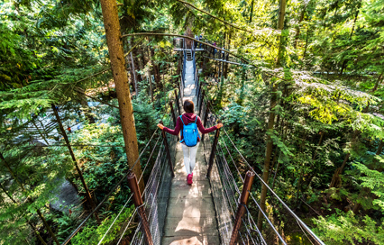The Ultimate Capilano Suspension Bridge Park Travel Guide for Nature Lovers: What You Need to Know