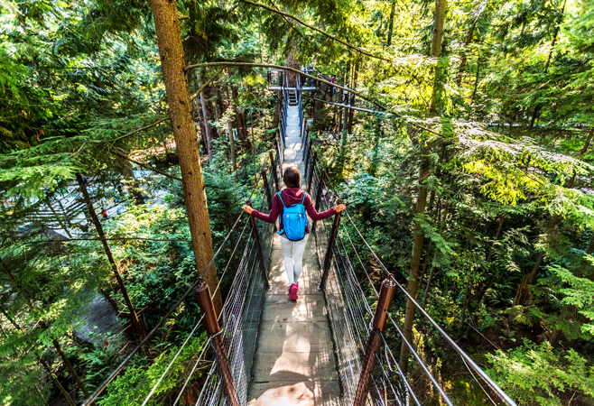 Capilano Suspension Bridge Park actually has a series of very cool suspension bridges in the forest, a Cliffwalk, nature talks, and some cute cafes. Capilano Suspension Bridge Park actually has a series of very cool suspension bridges in the forest, a Cliffwalk, nature talks, and some cute cafes.