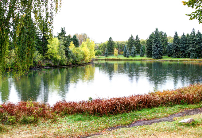 Packed with picnic spots, plenty of open green space, and a man-made lake, Hawkrelak Park should make every local family's summer to-do list.