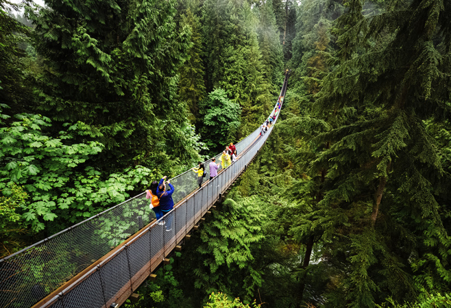 If you are looking for a quieter period to visit, the Park is generally less busy in the early morning and late afternoons. If you are looking for a quieter period to visit, the Park is generally less busy in the early morning and late afternoons.