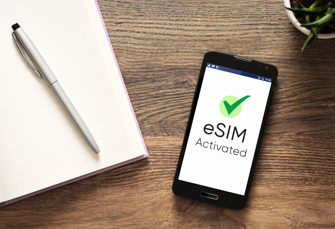 Canadian eSIM providers and international eSIM marketplaces offer a wide variety of prepaid data plans explicitly tailored for travelers, catering to different usage needs, trip durations, and price sensitivities
