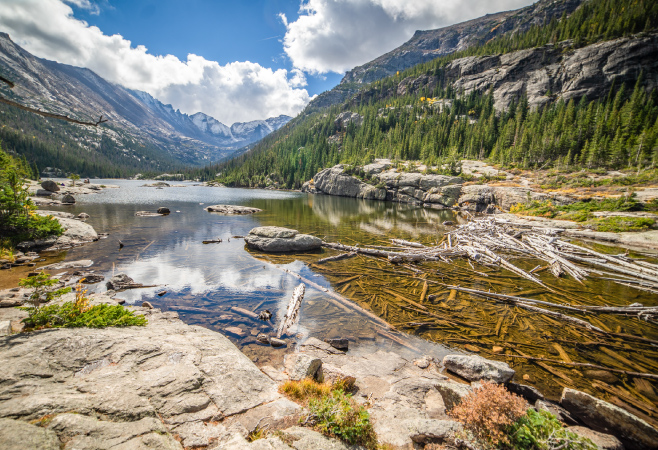 Mill Lake Park is a stunning spot to admire nature. Mill Lake Park is a stunning spot to admire nature.