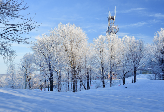 Parc du Mont-Bellevue is a popular spot in Sherbrooke for hiking, skiing, and enjoying panoramic city view