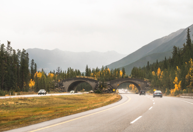 There’s no public transport in Yoho National Park, so you would need a car to visit