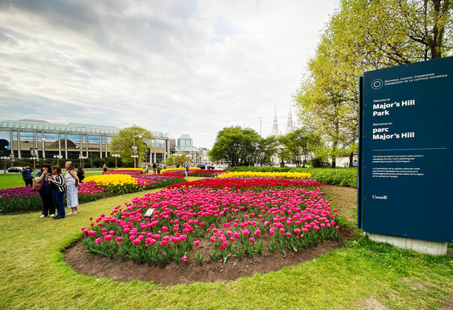 As one of the most visually stunning festivals in Canada, this celebration of spring is a must-visit for photographers, nature lovers, and those who love flowers