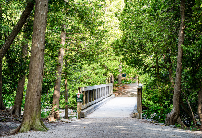 With over 900 km of main Trail and over 450 km of side trails, the Bruce Trail offers a myriad of ways to explore the natural beauty of the Niagara Escarpment on foot