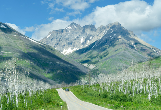 Red Rock Canyon Parkway is open to motor vehicles, but hiking/biking is permitted