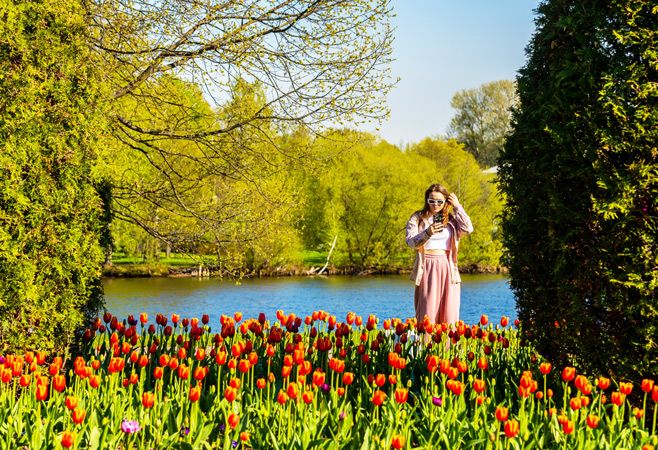 The Canadian Tulip Festival isn't just an event for tourists - locals are passionate about it as well