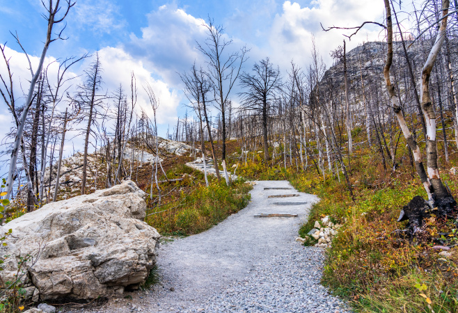 Bear's Hump is a moderate, popular 2.8km trail with a steep climb, offering iconic views