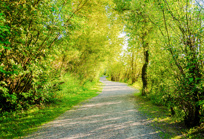 Matsqui Trail Regional Park - the at-grade rail crossing situated on the dike northeast of the day-use area has been permanently closed Matsqui Trail Regional Park - the at-grade rail crossing situated on the dike northeast of the day-use area has been permanently closed