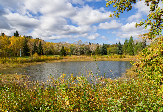 Gold Bar Park has numerous picnic sites, many with tables and fire pits. It's a popular spot for gatherings and family outings