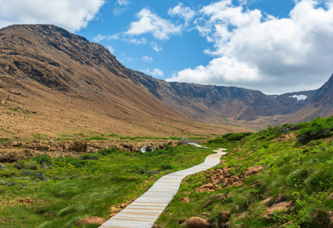 Green Gardens is a great place to discover some of the contrasting landscapes of Gros Morne National Park Green Gardens is a great place to discover some of the contrasting landscapes of Gros Morne National Park