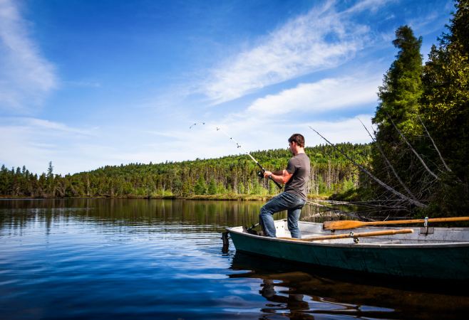 Maligne Lake is home to various fish species , including lake trout , brook trout, and rainbow trout