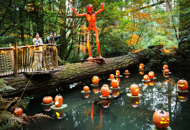 Enjoy our seasonal events at the Park, which bring together light displays, themed decorations, fun activities and unique photo ops. Enjoy our seasonal events at the Park, which bring together light displays, themed decorations, fun activities and unique photo ops.