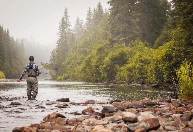 Algonquin Provincial Park is home to one of the world's highest concentrations of natural brook trout lakes Algonquin Provincial Park is home to one of the world's highest concentrations of natural brook trout lakes