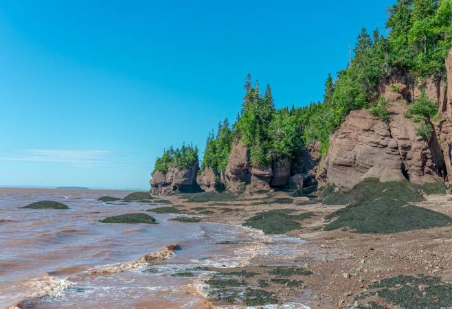 oneibccom2024 St. John’s is a great place to see the Bay of Fundy