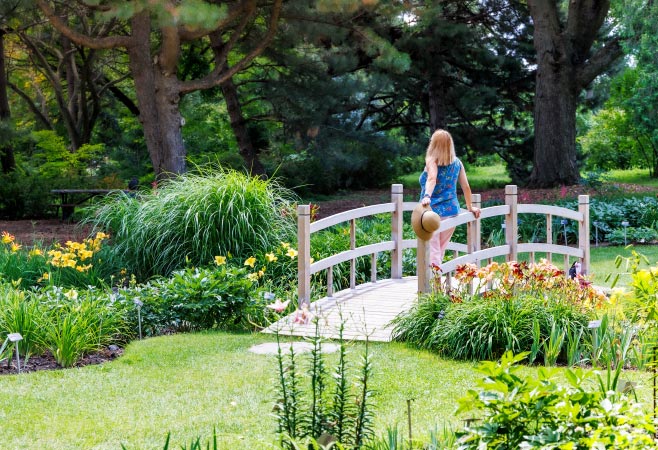 Some botanical gardens in Canada are internationally famous, having become known for their massive collections of diligently arranged rare and native plants