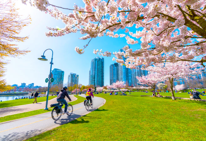 With its vast network of scenic trails, diverse landscapes, and breathtaking views, Canada is a cyclist's paradise. With its vast network of scenic trails, diverse landscapes, and breathtaking views, Canada is a cyclist's paradise.
