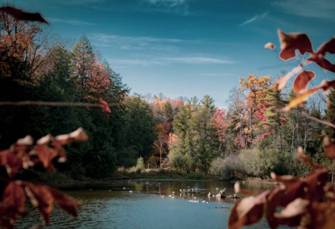 Based on the tourism score, the best time of year to visit Kitchener for warm-weather activities is from late June to early September Based on the tourism score, the best time of year to visit Kitchener for warm-weather activities is from late June to early September