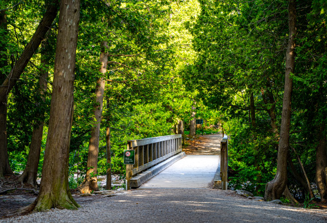 Bruce Trail offers a myriad of ways to explore the natural beauty of the Niagara Escarpment on foot Bruce Trail offers a myriad of ways to explore the natural beauty of the Niagara Escarpment on foot