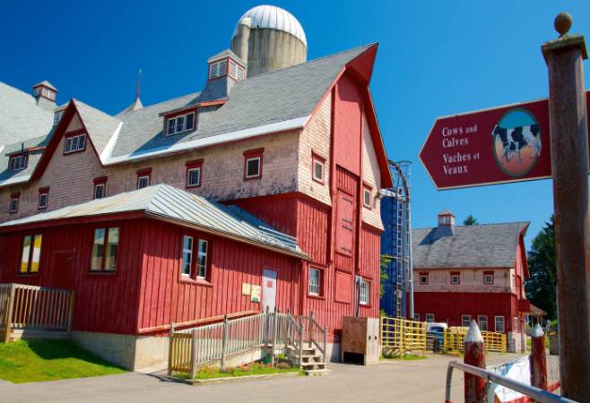 This museum is the perfect place for young and old to meet farm animals including horses, alpacas, goats and rabbits. This museum is the perfect place for young and old to meet farm animals including horses, alpacas, goats and rabbits.