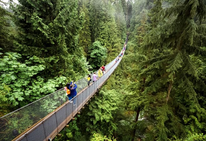 Discover a world of stunning natural beauty, fascinating history and family-friendly activities Discover a world of stunning natural beauty, fascinating history and family-friendly activities