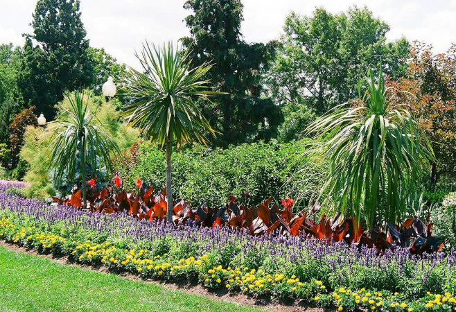 Coventry Garden is the ideal place for walks, playing lawn games with friends, and enjoying time with family.