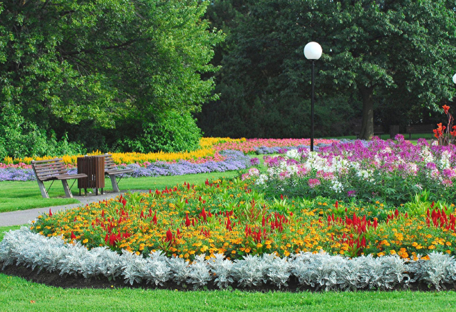 The Dow’s Lake Boardwalk is the scenic heart of the Canadian Tulip Festival The Dow’s Lake Boardwalk is the scenic heart of the Canadian Tulip Festival