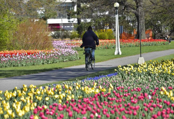 This scenic route connects the main festival sites and offers beautiful views of the water. This scenic route connects the main festival sites and offers beautiful views of the water.