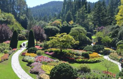 The Best Botanical Gardens in Canada: A Journey Through Nature’s Finest The Best Botanical Gardens in Canada: A Journey Through Nature’s Finest