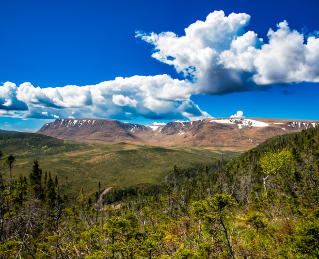 Gros Morne Mountain is the highest mountain in the national park and a magnet for climbers, but it's not suitable for everyone