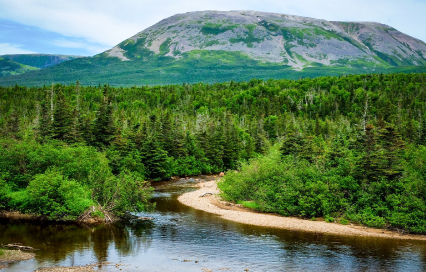 How to Plan the Perfect Trip: A Complete Gros Morne National Park Travel Guide How to Plan the Perfect Trip: A Complete Gros Morne National Park Travel Guide