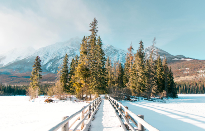 Winter scenery in Jasper National Park in Alberta