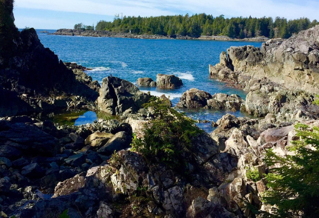 Hot Springs Cove offers a truly natural and rugged geothermal soaking experience , surrounded by pristine coastal forest and ocean views