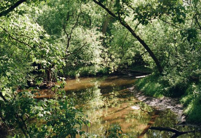oneibccom2024 The park features forests, mud flats, salt marsh, volcanic rock, and a long sandy beach, landscapes