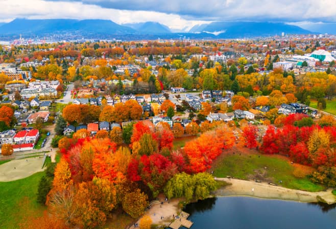 Canada's maple leaf
