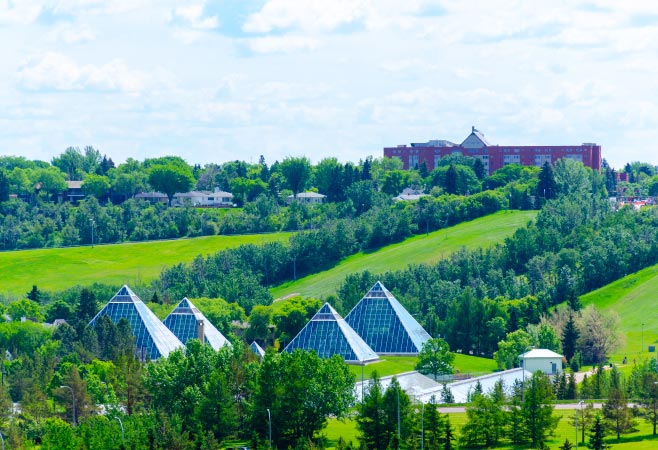 The Muttart Conservatory, located in Edmonton's iconic river valley, holds one of Canada's largest indoor plant collections