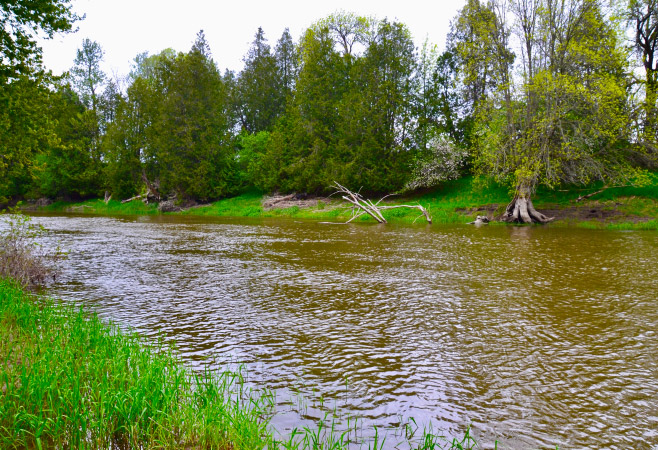 The Nottawasaga is a wide and winding waterway where many people enjoy relaxing canoe, kayak, or paddleboard trips. The Nottawasaga is a wide and winding waterway where many people enjoy relaxing canoe, kayak, or paddleboard trips.