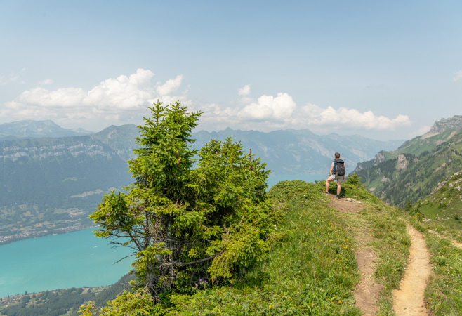 Panorama Ridge is a strenuous trek that can be completed as a day hike, or over multiple days with nights spent at numerous campsites or lookouts. Panorama Ridge is a strenuous trek that can be completed as a day hike, or over multiple days with nights spent at numerous campsites or lookouts.