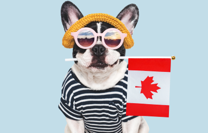 Bringing Pets to Canada: Rules, Documents & Travel Checklist Bringing Pets to Canada: Rules, Documents & Travel Checklist