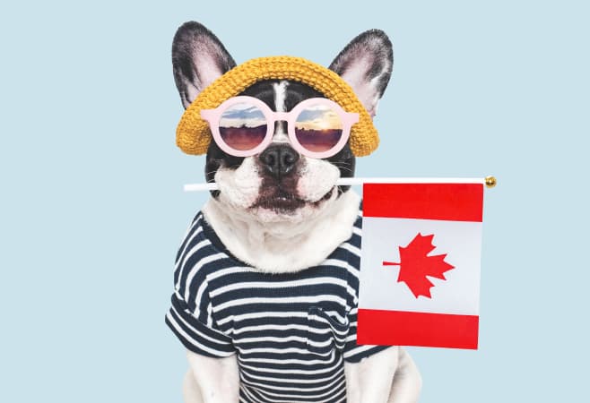 oneibccom2024