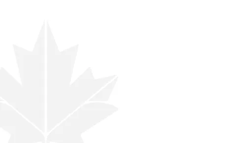Leaf bg