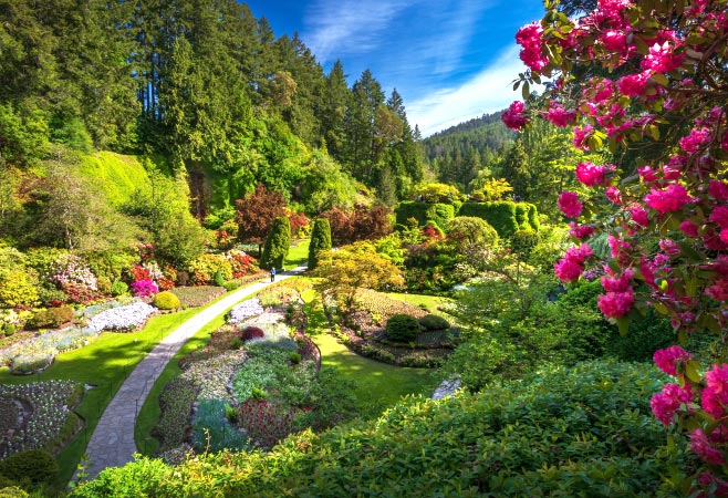 Butchart Gardens is one of the top tourist attractions in Canada