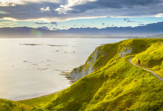 This is a popular trail for birding, running, and walking, but you can stil