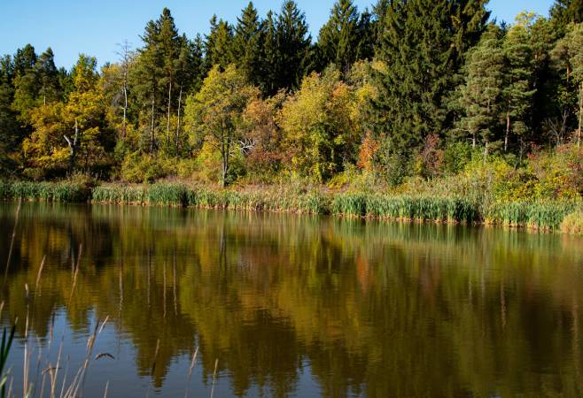 Kitchener is a vibrant city that beautifully blends history, culture, and outdoor adventure