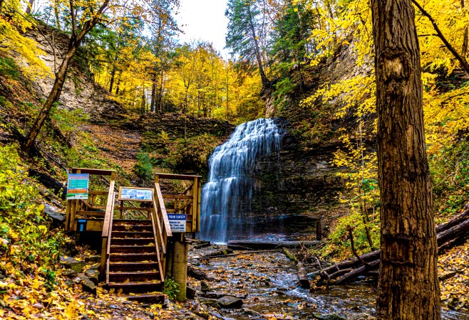 Tiffany Falls provides you with a well-rounded nature trip that involves a waterfall, natural rock exposure, anda  forested walk