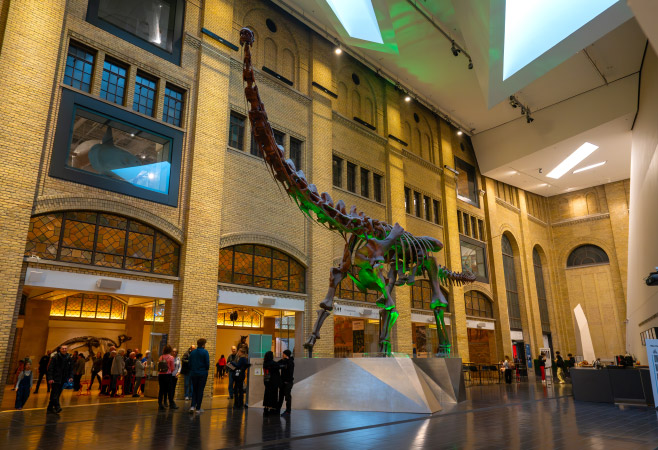 Toronto museums offer a broad look at the history, culture, art, and legacy of this great city Toronto museums offer a broad look at the history, culture, art, and legacy of this great city